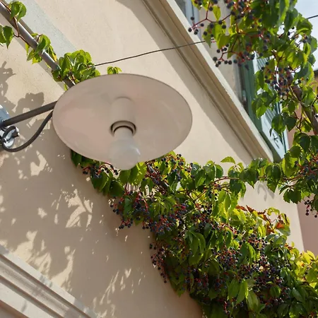 Bed & Breakfast Castellinaria