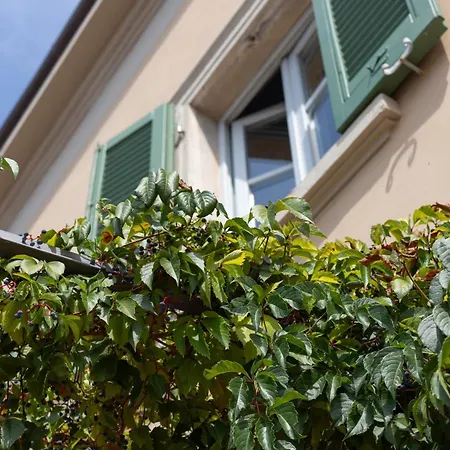Castellinaria Bed & Breakfast Lari