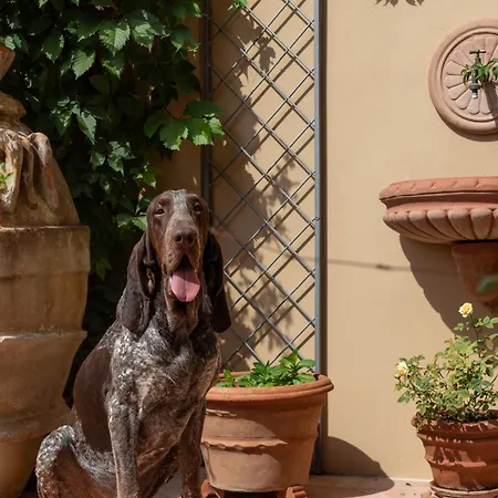 Bed & Breakfast Castellinaria Lari